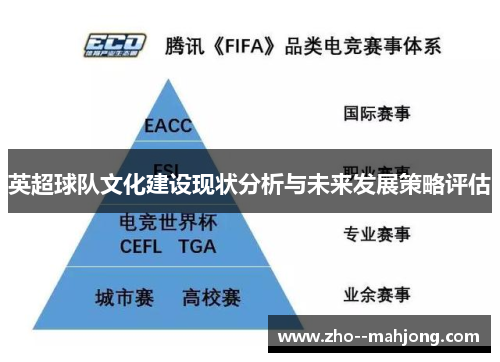 英超球队文化建设现状分析与未来发展策略评估